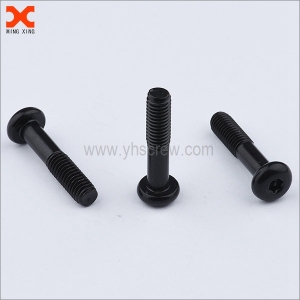 custom captive torx security screws manufacturer