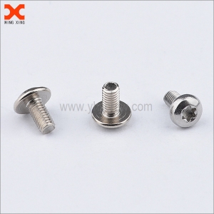 custom pan head stainless steel torx screws manufacturers