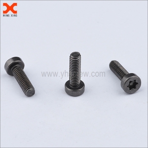 black nickel torx drive stainless steel security screws