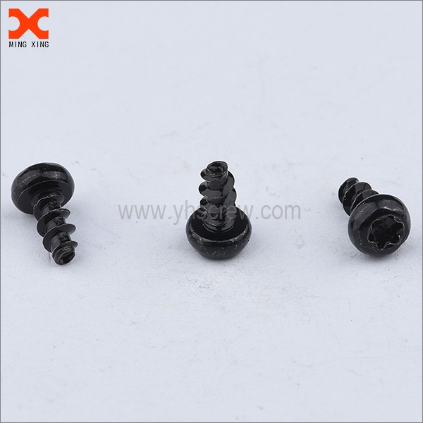 black torx pan head plastite thread forming screws supplier