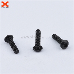 black truss torx head machine screws supplier