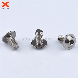 nickel plated hex socket washer head screw