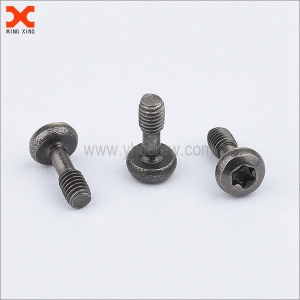 stainless steel captive torx pan head screw supplier