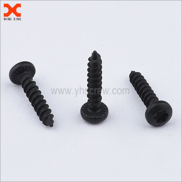 black oxide phillips drive torx pan head self tapping screws