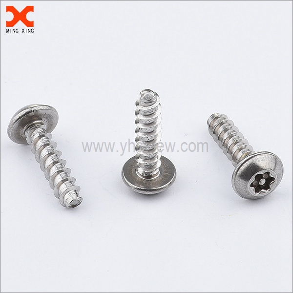 special pin torx stainless security screws supplier