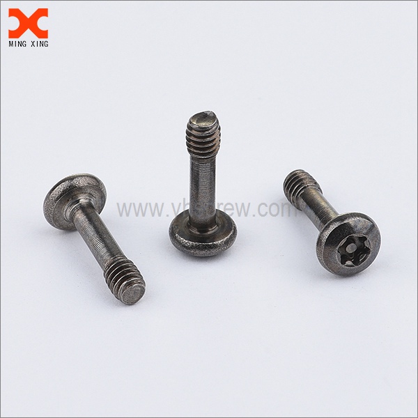 stainless steel captive pin torx security screws
