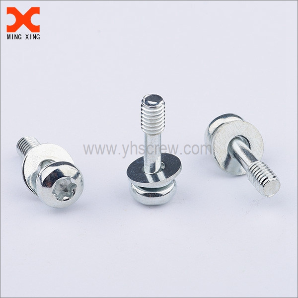 Torx pan head captive screw with flat washer and spring washer