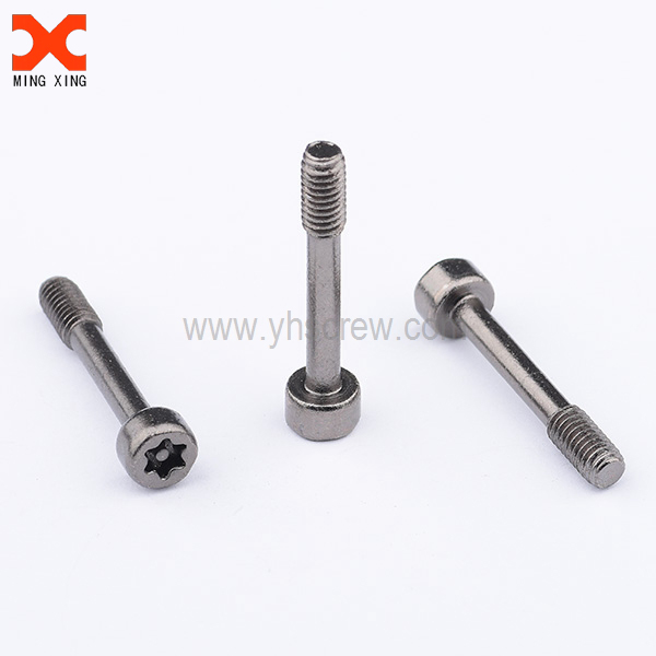 Torx in pin security captive screw stainless steel