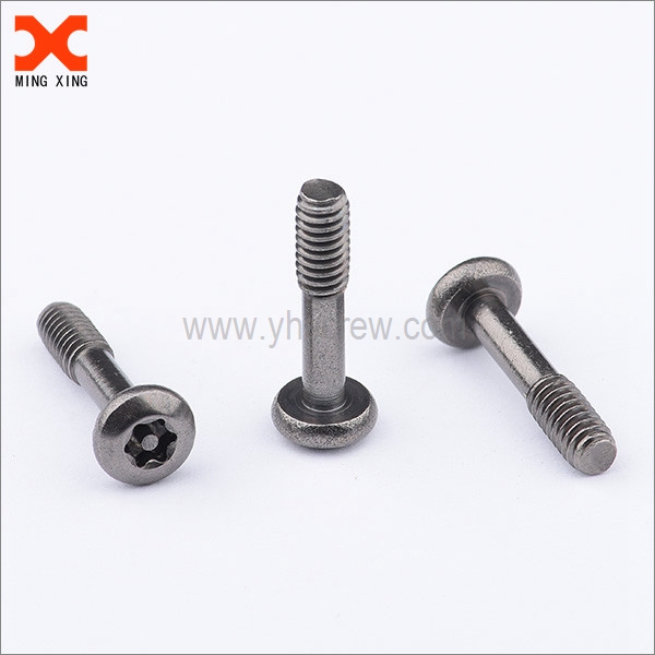 Six lobe tamper screw captive security screw supplier