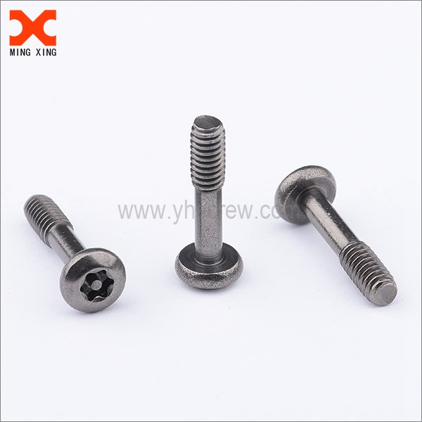 black nickel stainless steel torx pin head screws manufacturer