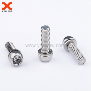 Custom hexagonal socket head cap screw wholesale