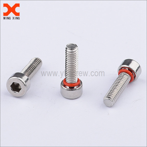 Tamper-proof screws self sealing screws socket cap machine screws