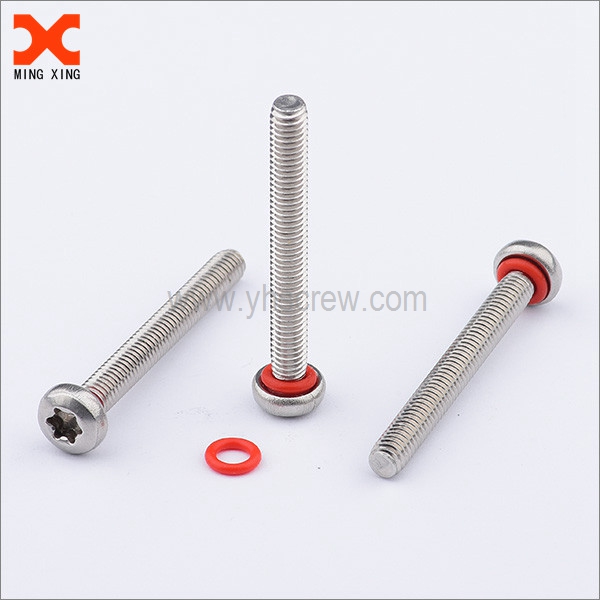 Seal screw self-sealing machine screw torx drive stainless