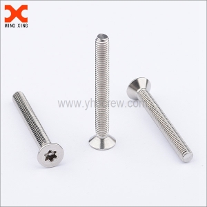 Custom screw countersunk pin in torx security screw