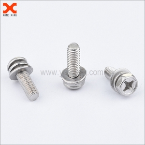 stainless steel sems phillips pan hex washer head screw