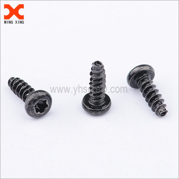 Pan head torx self-tapping screws black