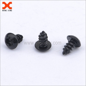 black truss head type ab self-tapping torx screws