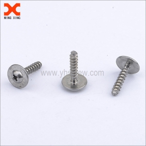 Big round washer head self-tapping screw manufacturer