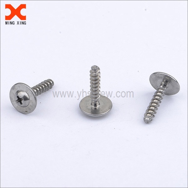 Big round washer head self-tapping screw manufacturer