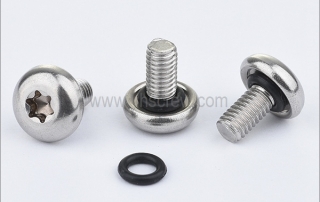 What is O-ring torx drive sealing screws?