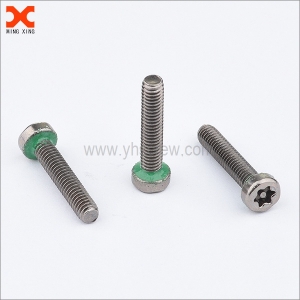 What is O-ring torx drive sealing screws?