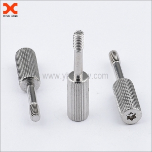Types of Security Screws