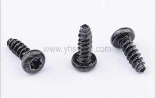 Black Torx self tapping screws manufacturer