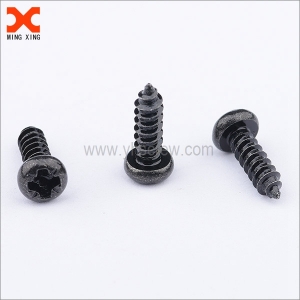 Black Torx self tapping screws manufacturer