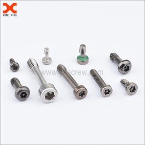 Types of Security Screws