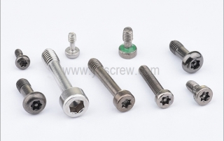 Types of Security Screws