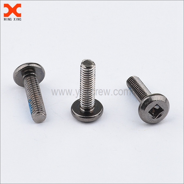 Types of Security Screws
