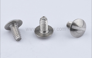 Type of Truss Head Screw
