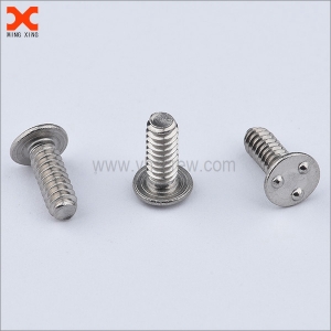 Types of Security Screws