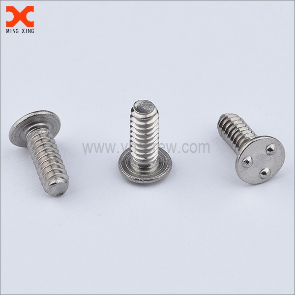 Types of Security Screws