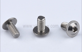 Allen head machine screw supplier China