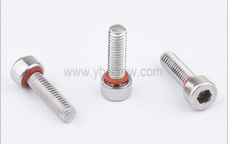 Cylinder head cap screw