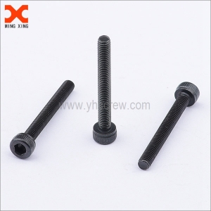 Allen head machine screw supplier China