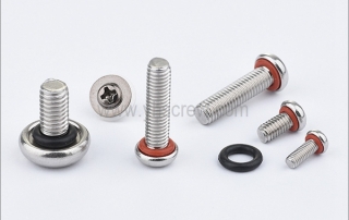 Screw with o ring