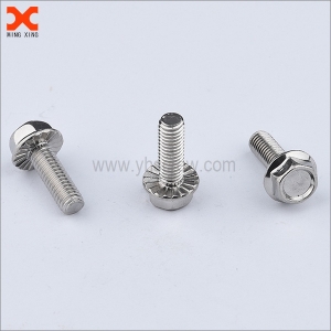 Stainless steel screw manufacturers in China