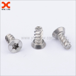 Stainless steel screw manufacturers in China
