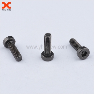 Torx socket head cap screw manufacturer in China