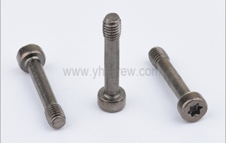 Torx socket head cap screw manufacturer in China