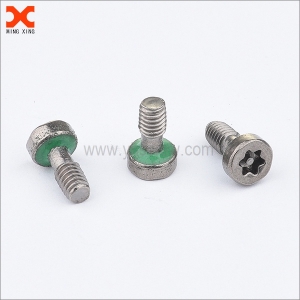 Torx socket head cap screw manufacturer in China