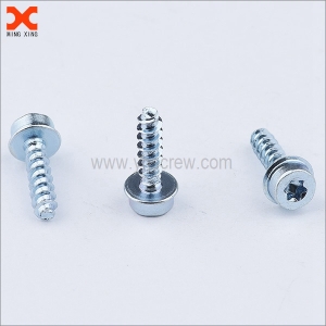 Torx socket head cap screw manufacturer in China