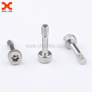 Torx socket head cap screw manufacturer in China