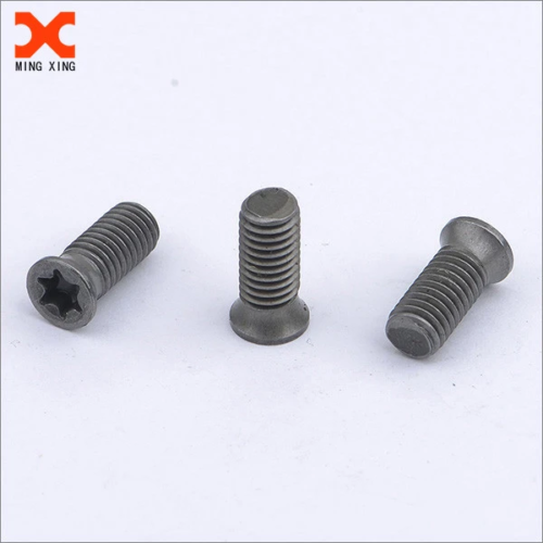 torx head screws